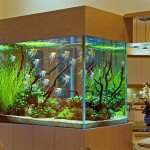 Установка и проверка аквариума